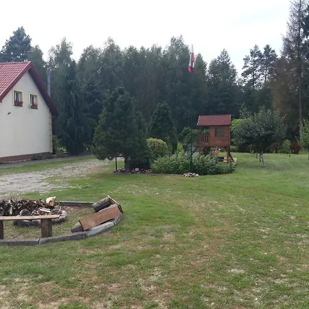 W Lesie Miłomłyn