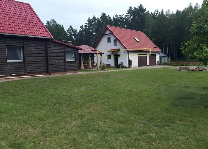 W Lesie * Miłomłyn